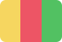 guinea icon