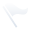 flag icon