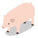 animal, animals, farm, pig, rural svg vector icon