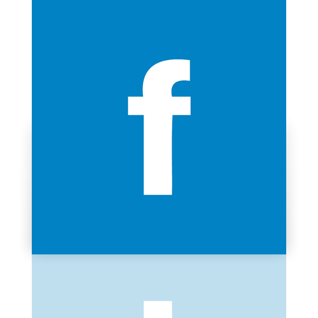 facebook,alt,mirror icon