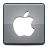 social,apple icon