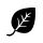 coda, leaf, nature, plant icon