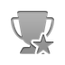 trophy,star icon