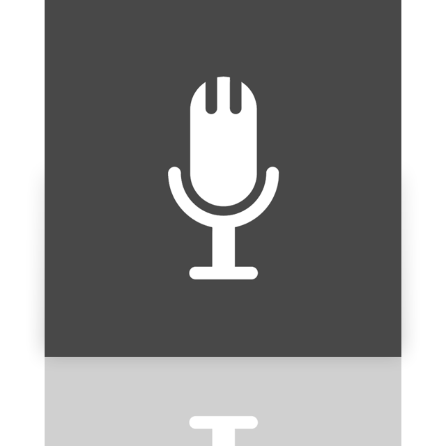 microphone,mirror icon