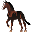 horse,mustang icon