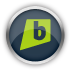 brightkite icon