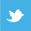 twitter icon