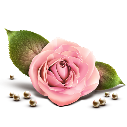 rose,by,artdesigner,lv icon