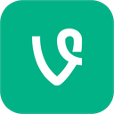 vine icon