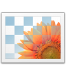 blue icon