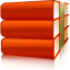 flash,live,system,ip,ver icon