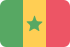 senegal icon