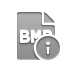 file,format,bmp,info icon