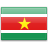 suriname,flag,country icon