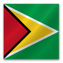 guyana icon