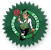 celtics icon