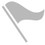 flag icon