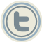 twitter icon