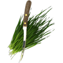 fresh,cut,wheatgrass icon