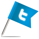 twitter icon