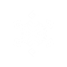 appbar,snowflake icon