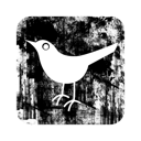 bird, twitter icon