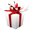 gift,present icon
