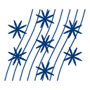 43 icon