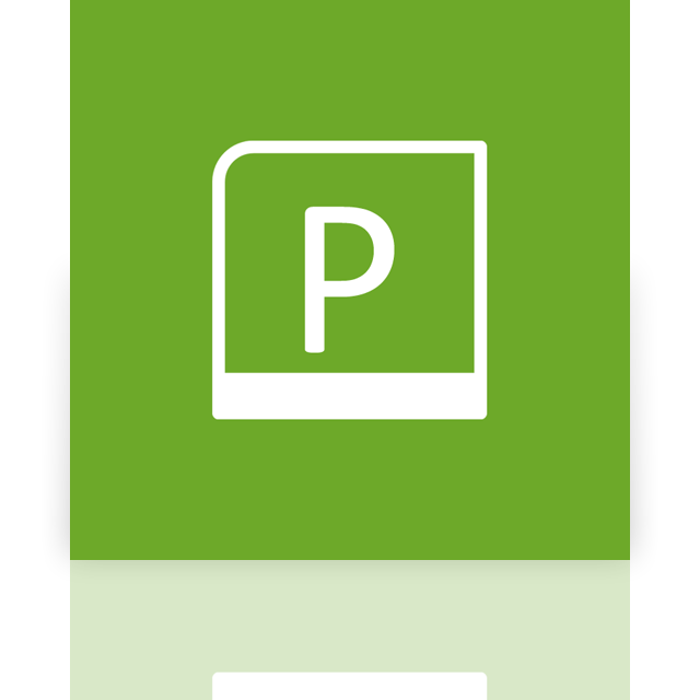 project,alt,mirror icon