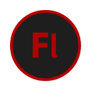 flash icon