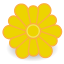 im,icq icon