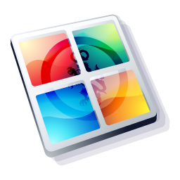 program icon