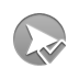 arrowhead,right,checkmark icon