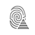 fingerprint,pyramid icon