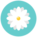 aroma, blossom, chamomile, daisy, flower, flowers, nature svg vector icon