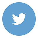 twitter icon