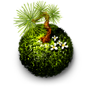 kokedama,moss,ball icon