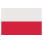 pl icon