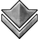 silver icon