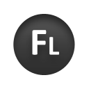 flash icon