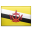 brunei, qq icon