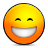 emote,biggrin icon
