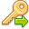 key,password icon