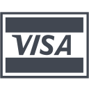 business, buy, cash, credit, currency, ecommerce, finance, financial, money, payment, price, shopping, visa, visa card svg vector icon