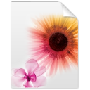 illustrator,file,paper,document icon