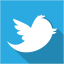 social,media,flat,shadow,set,twitter icon