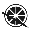 sai icon