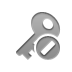 key,cancel icon
