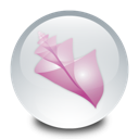 adobe, bridge icon