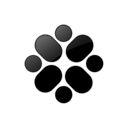 099384, ziki icon